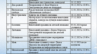 Новогодние праздники в ТОС